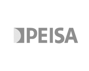 Ecobuilding-Logo Peisa gris